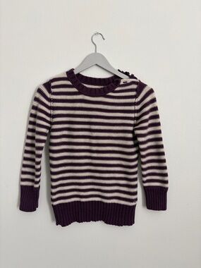 American Eagle Outfitters Plum and Cream Striped Crewneck Sweater